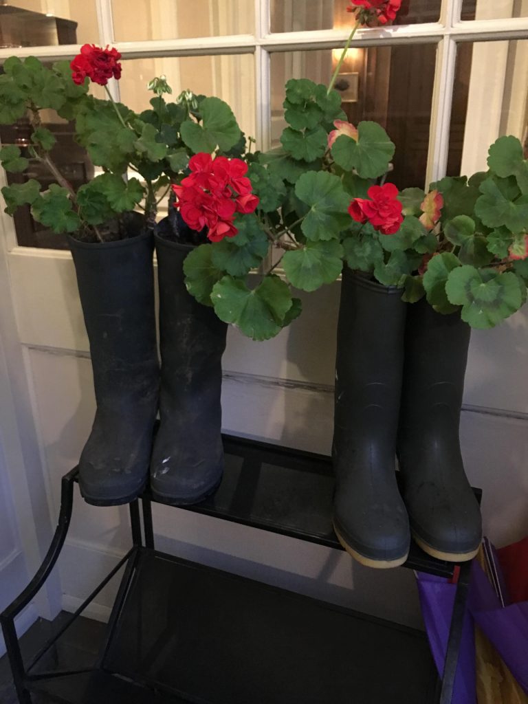 growing flowers in wellies