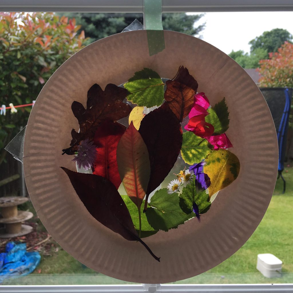 Sun catchers from nature