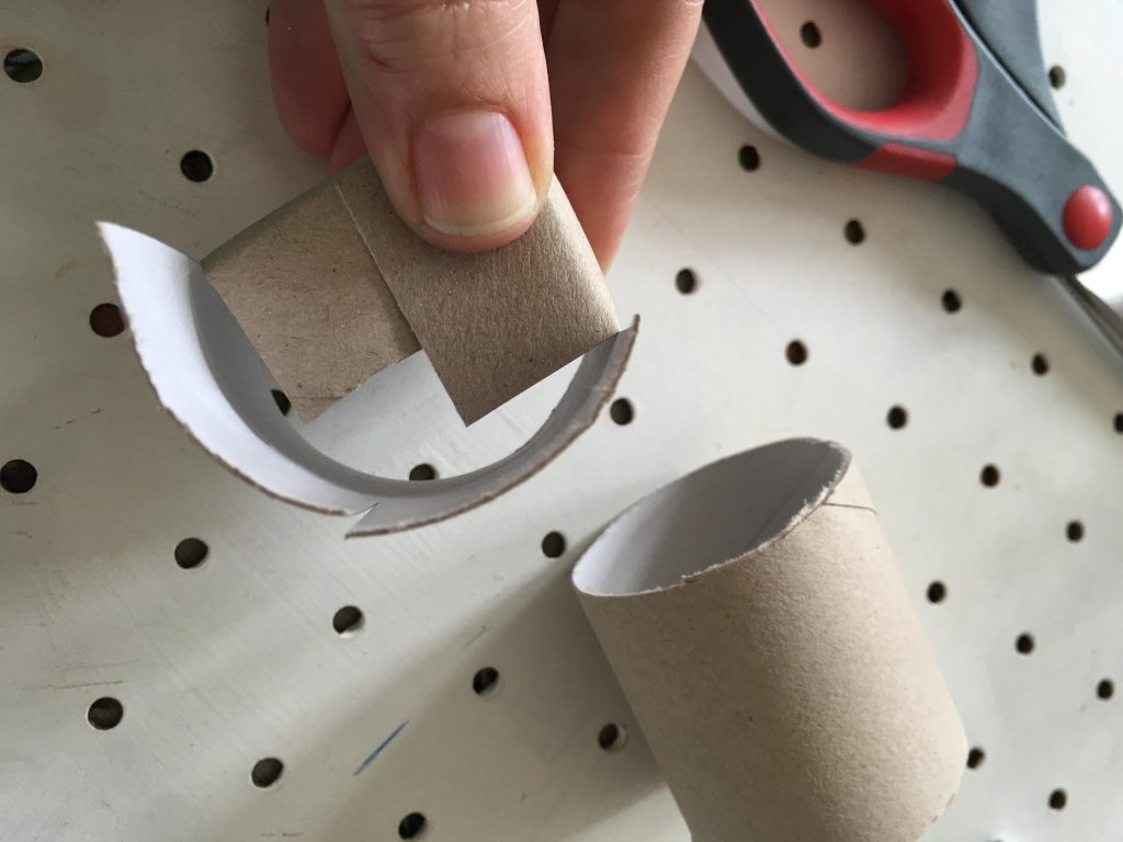 Recycled cardboard tube seed pots