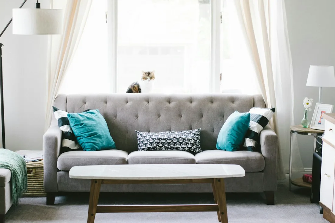 Gray sofa with turquoise cushions in a bright living room