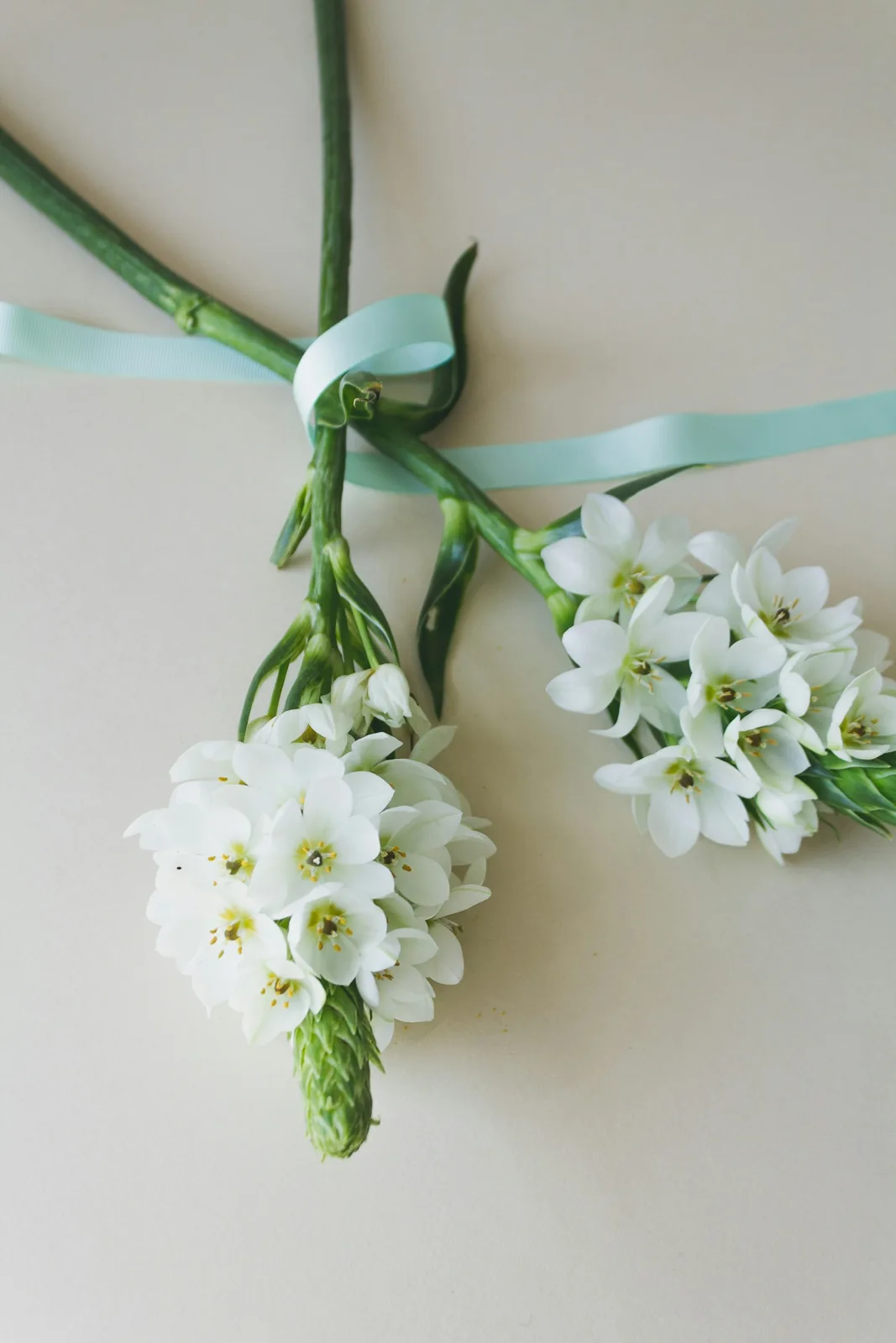 White flowers tied with pale ribbon on a neutral surface